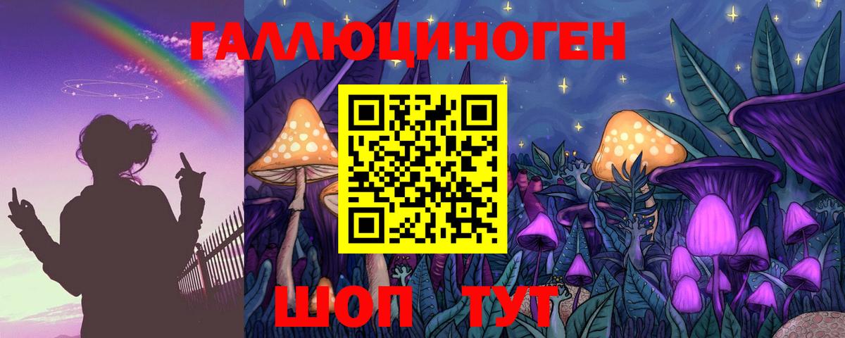 Карталы  Псилоцибиновые грибы Psilocybe  Вход с VPN 