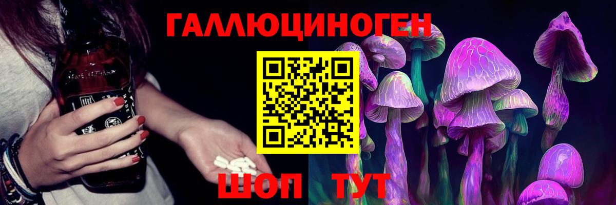 Галлюциногенные грибы Psilocybine cubensis Карталы